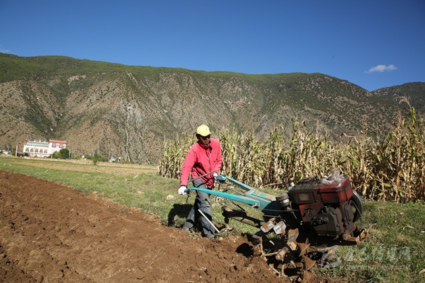田園藏鄉(xiāng)美如畫(huà)，百姓脫貧喜在心