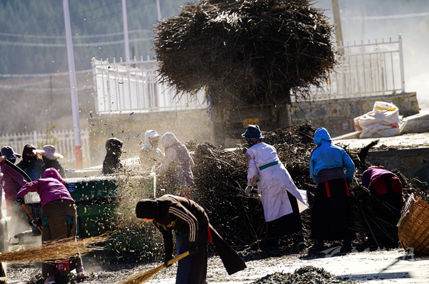 車(chē)巴河之秋