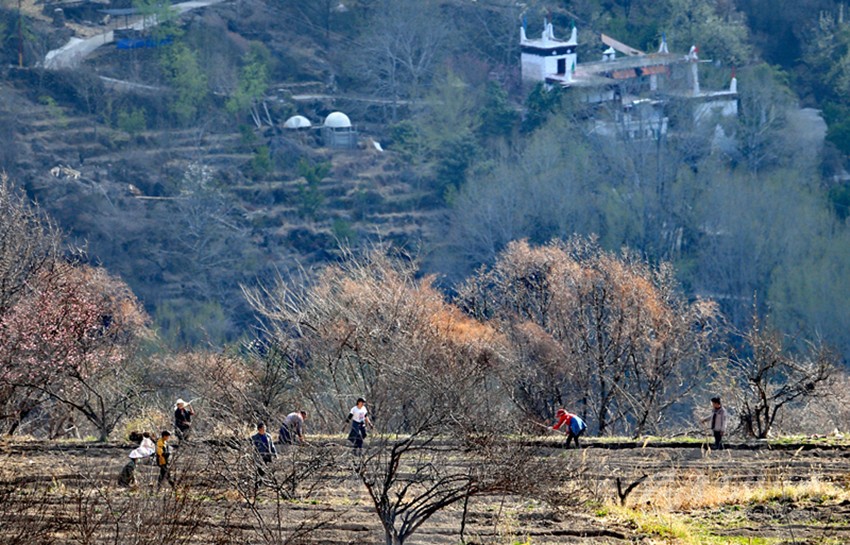 鉚足“?！眲鸥髅? onload=