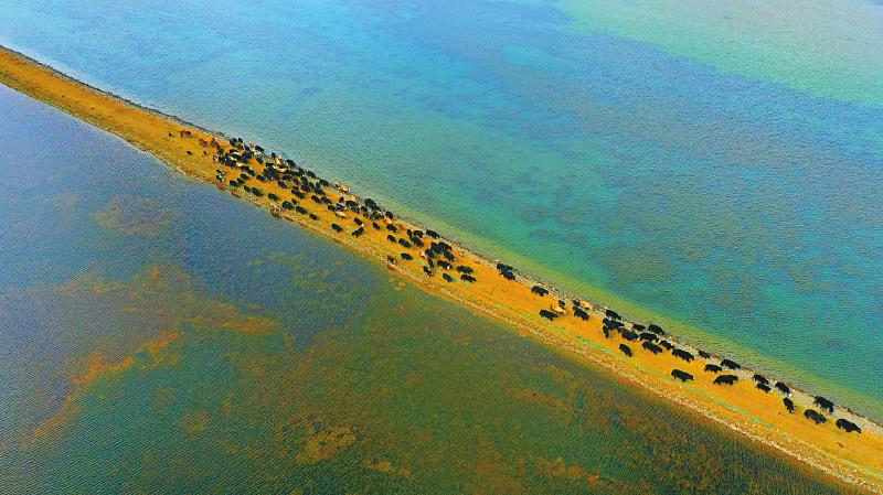 甘孜州石渠.jpg 甘孜州石渠.jpg