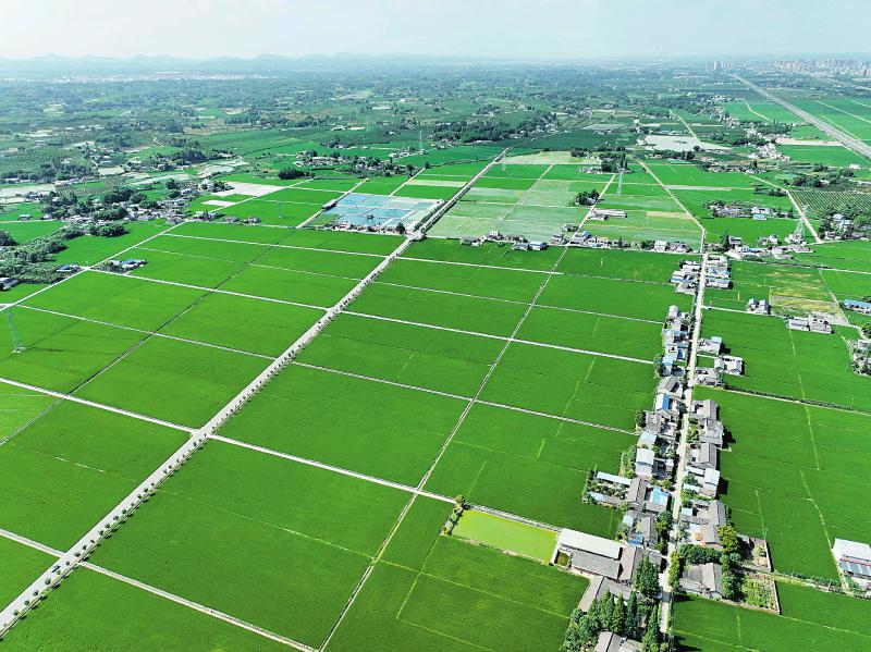 航拍眉山.jpg 航拍眉山.jpg